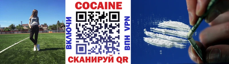 ссылка на мегу маркетплейс  Кузнецк  Кокаин Fish Scale 