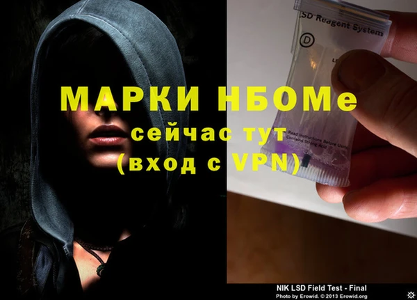 дмт Белокуриха