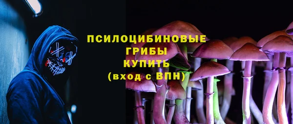 дмт Белокуриха