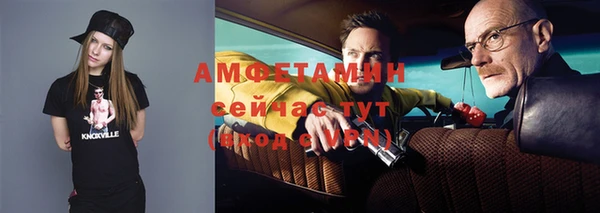 шишки Сосновоборск
