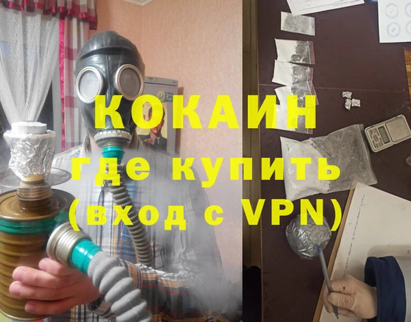 дмт Белокуриха