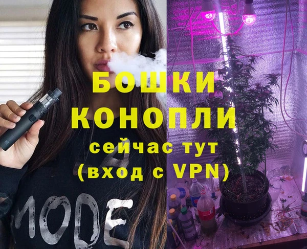 дмт Белокуриха